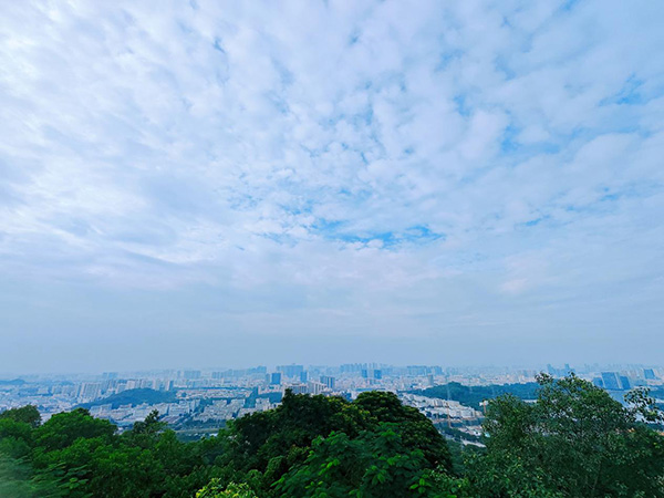 登山團建丨攜手共進&nbsp; 勇攀高峰