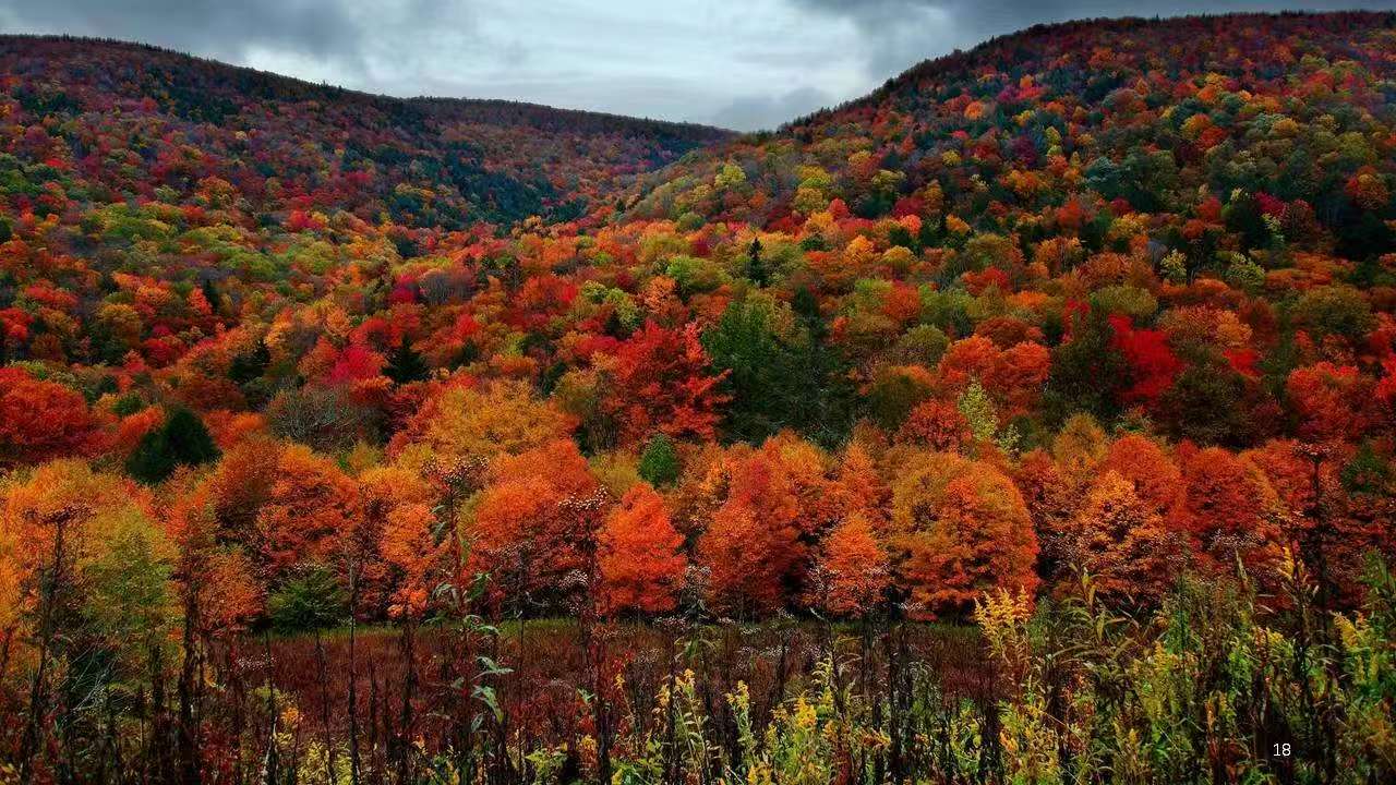 201763627590203450.jpeg 微信圖片_20251120163038_241_2.jpg